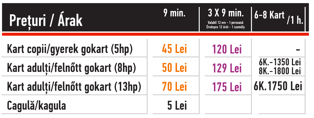 GoKart racing preturi 2021